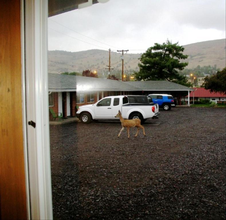 Golden West Motel Кламат Фолс Экстерьер фото